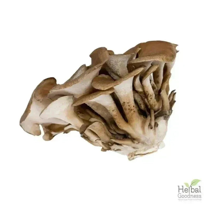 Bulk Spices & Seasonings 4oz | Fresh Vibrant Aromatic Flavor Bulk Herb Herbal Goodness 