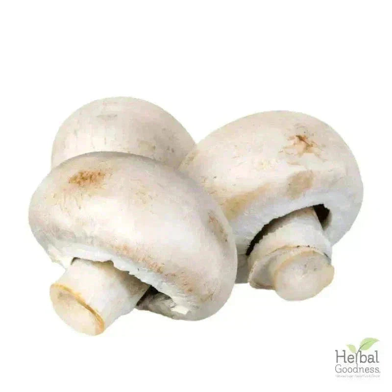 Bulk Spices & Seasonings 4oz | Fresh Vibrant Aromatic Flavor Bulk Herb Herbal Goodness 