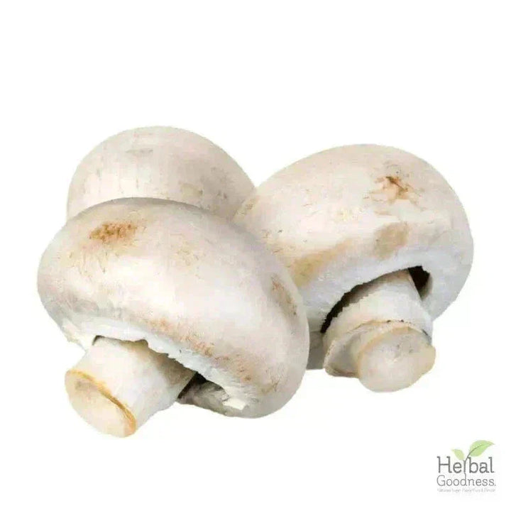 Bulk Spices & Seasonings 4oz | Fresh Vibrant Aromatic Flavor Bulk Herb Herbal Goodness 