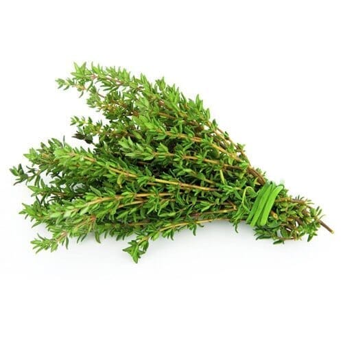 Bulk Spices & Seasonings - 8oz - Fresh and Vibrant - Herbal Goodness Bulk Herb Herbal Goodness Thyme 