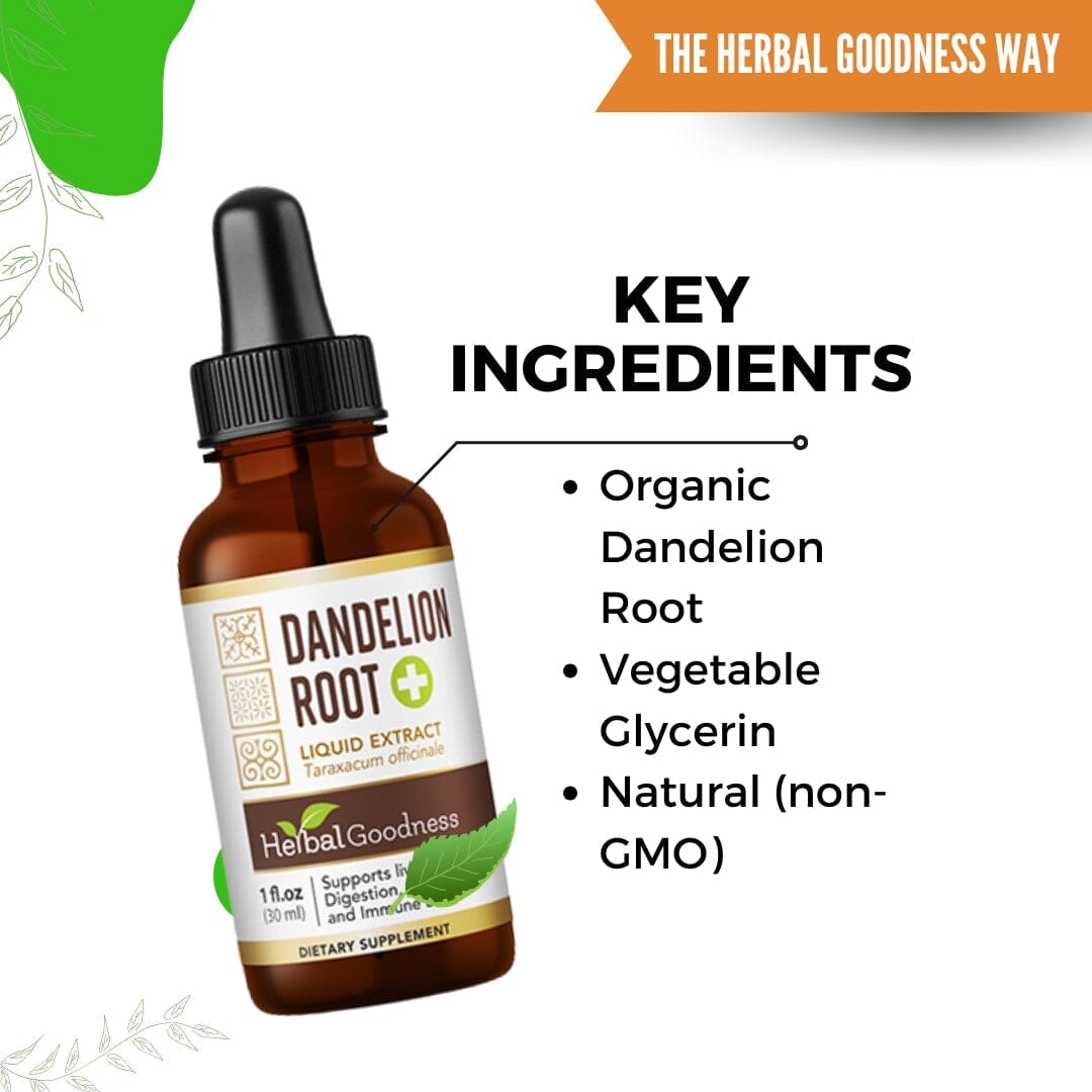Dandelion Root Liquid Extract – Plant-Based Herbal Supplement Liquid Extract Herbal Goodness 