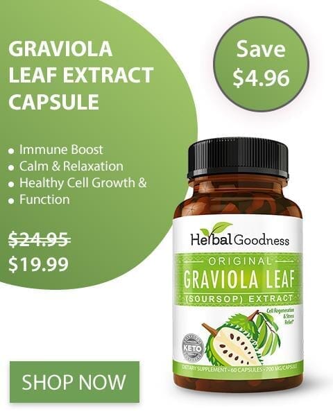 Graviola (Soursop) Leaf Extract - Capsules 60/700mg - Healthy Cell Function, Immunity & Relaxation - Herbal Goodness Capsules Herbal Goodness 