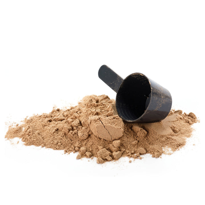 Protein powder with black scoop from SuperGreen Powders, supports immune health