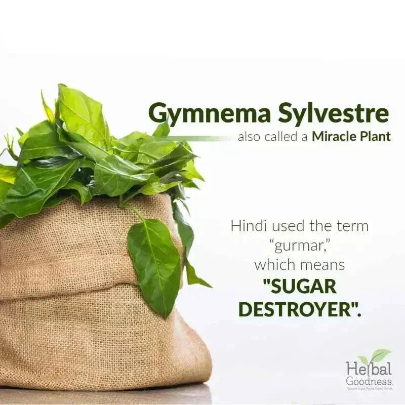 Gymnema Leaf Extract - Organic - Tea 24/2g - Herbal Goodness Tea & Infusions Herbal Goodness 