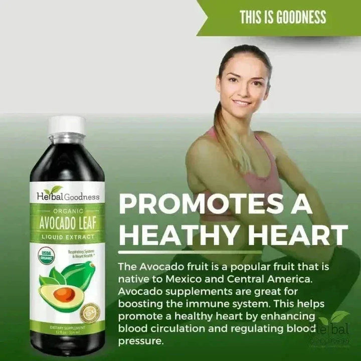 Avocado Leaf Extract - Liquid Extract - Herbal Goodness Liquid Extract Herbal Goodness 