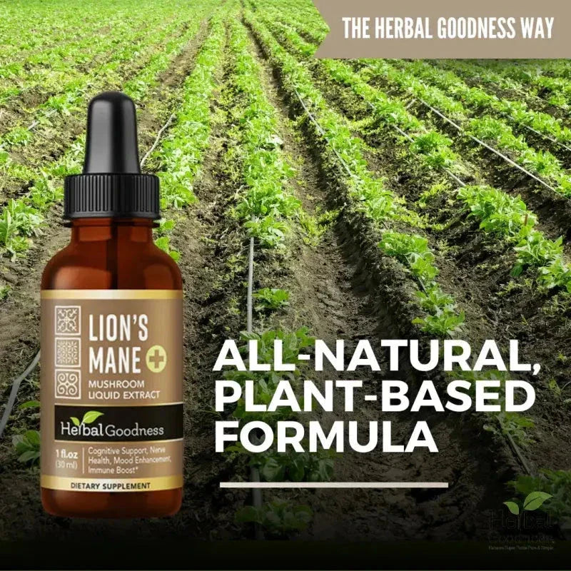 Lion's Mane Mushroom Liquid Extract - Organic 1oz - Brain & Mood Liquid Extract Herbal Goodness 