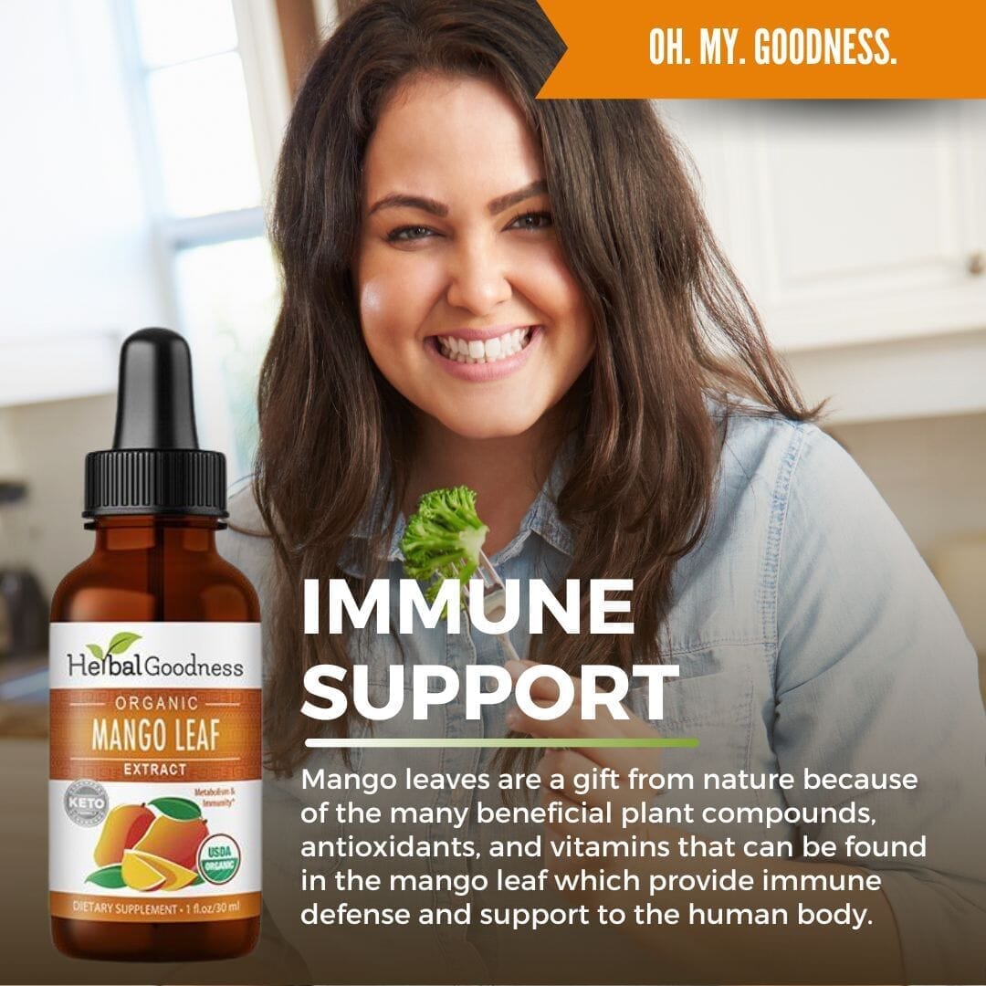 Mango Leaf Extract – Liquid Extract - 1oz Liquid Extract Herbal Goodness 