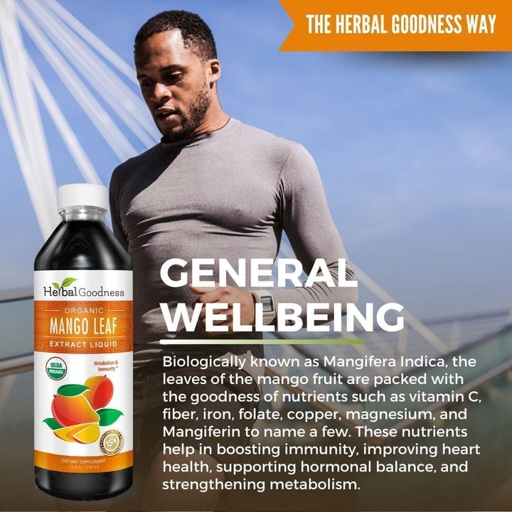 Mango Leaf Extract – Liquid Extract - 1oz Liquid Extract Herbal Goodness 