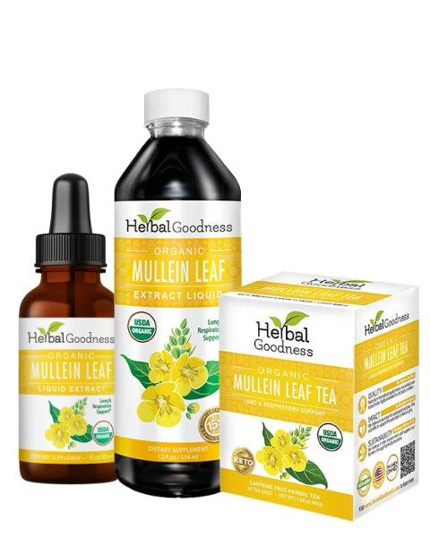 HG Mullein Leaf bundle
