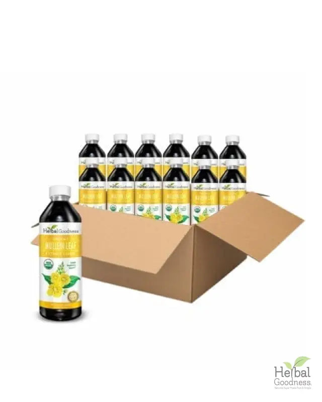 Mullein Leaf - Organic 15X Liquid Extract - Respiratory &amp; Lung Health Liquid Extract Herbal Goodness 12 oz Case(12) 