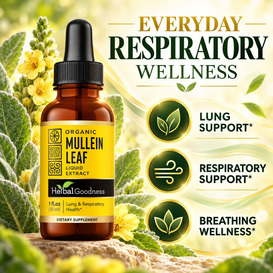 HG Mullein Leaf benefits