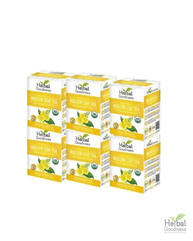 Mullein Leaf Tea - Organic 24 Tea Bags - Respiratory &amp; Lung Tea &amp; Infusions Herbal Goodness Case qty - 6 