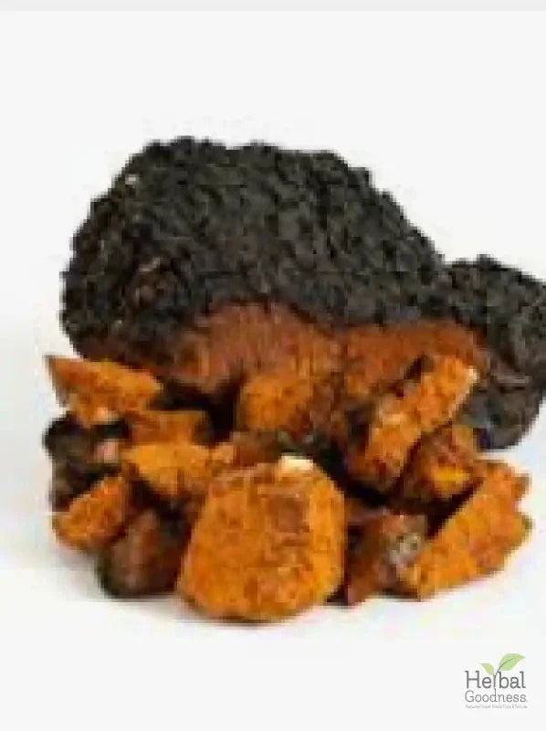 Mushroom Powders - 8 oz pouch - All-Natural Health Boost - Herbal Goodness Powder Herbal Goodness Chaga 