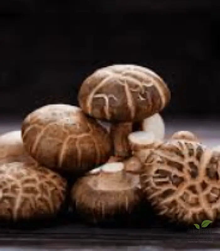 Assortment of Lion’s Mane and other mushrooms for Mushroom Powders boosting brain power