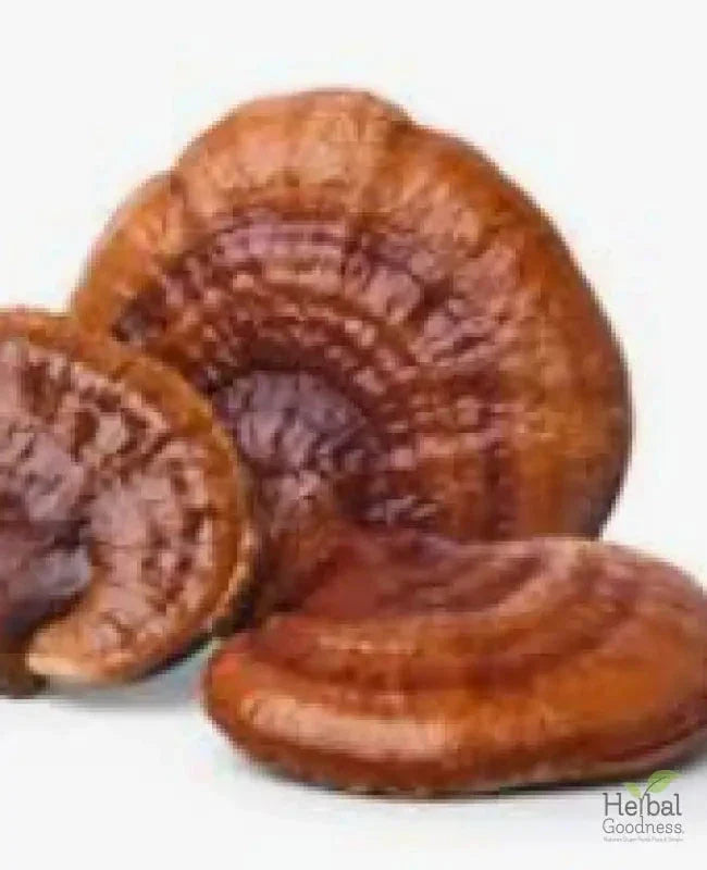 Mushroom Powders - 8 oz pouch - All-Natural Health Boost - Herbal Goodness Powder Herbal Goodness Reishi 