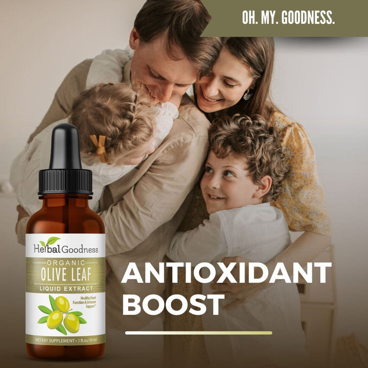 Olive Leaf Extract Liquid - 15X Strength - Herbal Goodness Liquid Extract Herbal Goodness 
