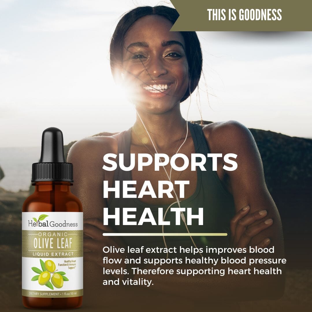 Olive Leaf Extract Liquid - 15X Strength - Herbal Goodness Liquid Extract Herbal Goodness 