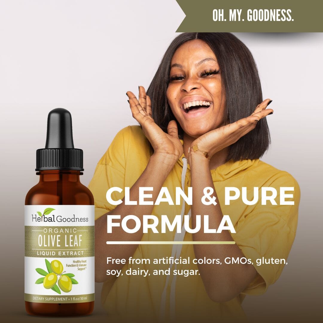 Olive Leaf Extract Liquid - 15X Strength - Herbal Goodness Liquid Extract Herbal Goodness 