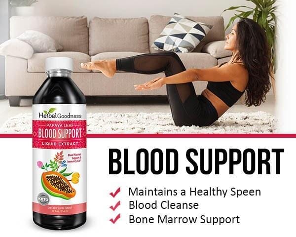 Papaya Leaf Extract Blood Support - Liquid 12oz - Healthy Platelets - Herbal Goodness Liquid Extract Herbal Goodness 