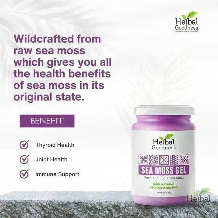 Sea Moss Gel 16 oz – Nutrient-Rich Superfood for Everyday Wellness Gels Herbal Goodness 