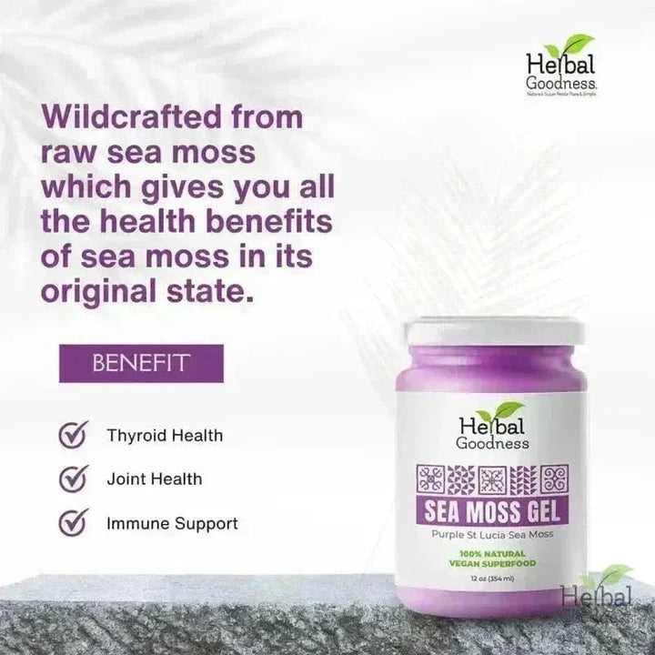 Sea Moss Gel 16 oz – Nutrient-Rich Superfood for Everyday Wellness Gels Herbal Goodness 