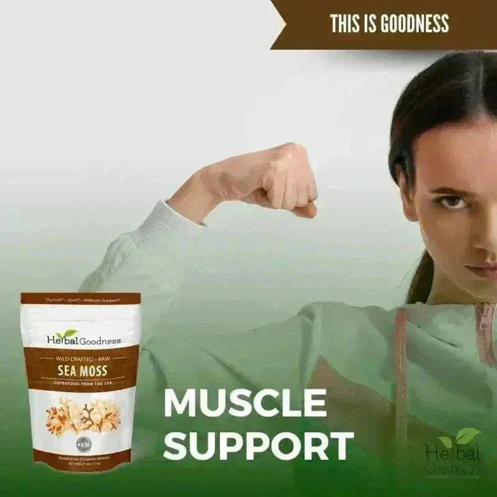 Sea Moss - Raw Dried Gold & Purple St Lucia Bulk Herb Herbal Goodness 