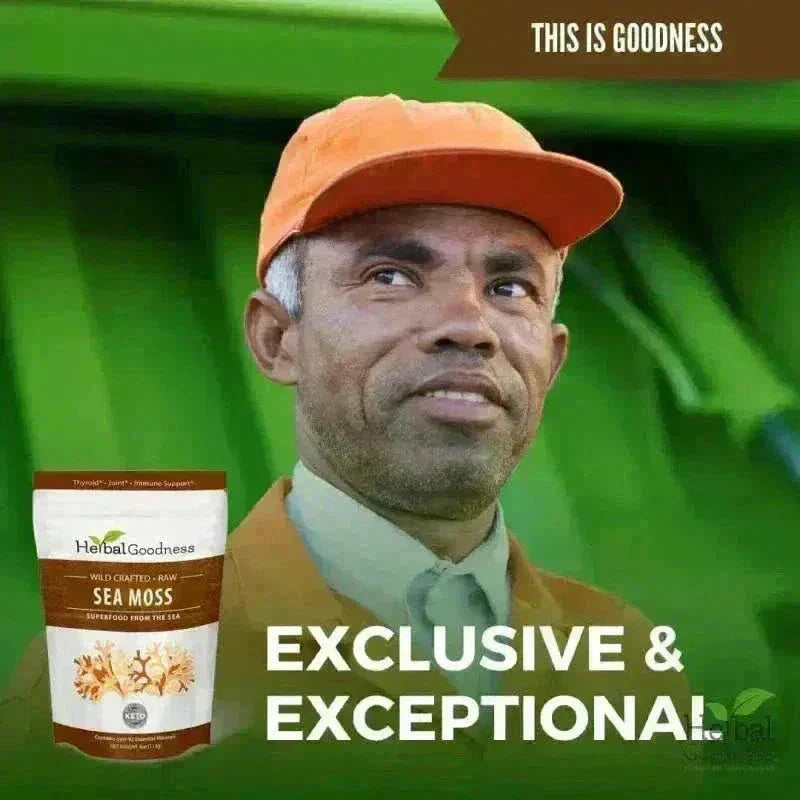 Sea Moss - Raw Dried from St Lucia - 8oz Bag - Nature's MultiVitamins Bulk Herb Herbal Goodness 