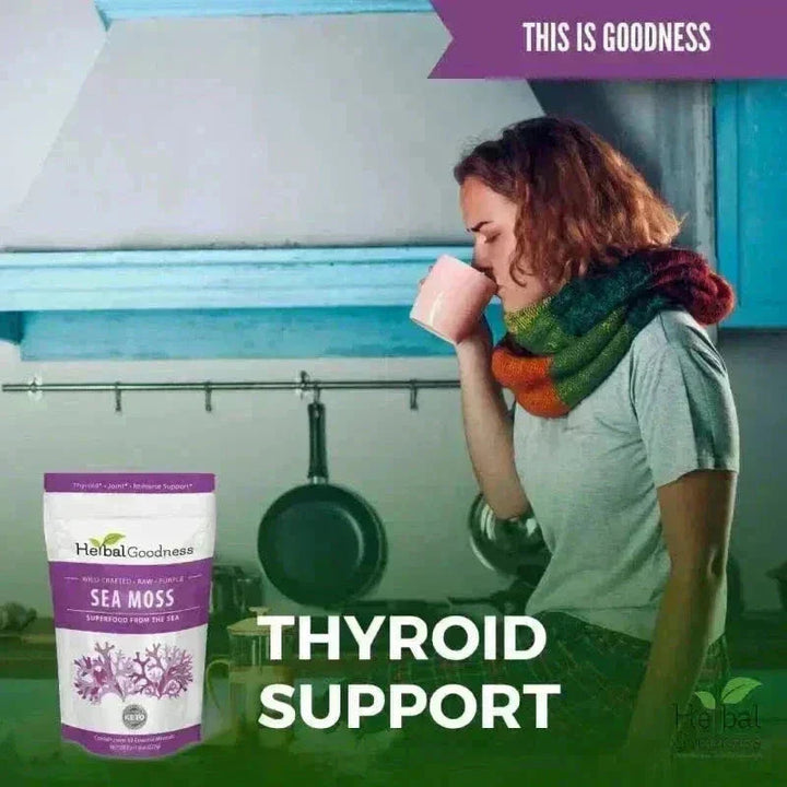 Sea Moss - Raw Dried Gold & Purple St Lucia Bulk Herb Herbal Goodness 