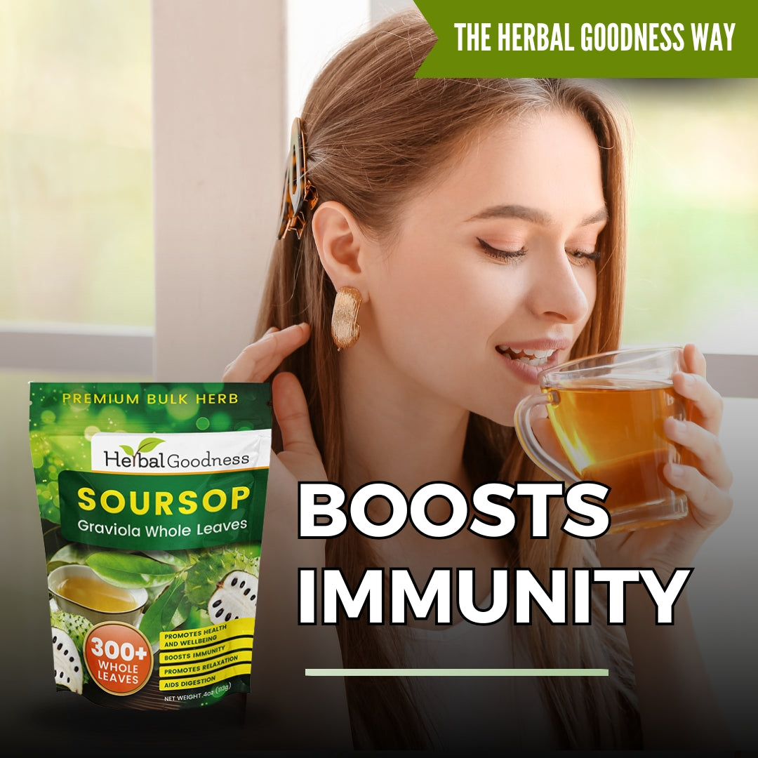 Soursop Graviola Whole Leaves – 300+ Leaves (4oz Buy Bulk Herb