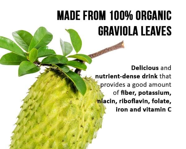 Soursop Leaf Tea - Graviola Extract - Organic Teabags 24/1g - Cell Immunity & Relaxation - Herbal Goodness Tea & Infusions Herbal Goodness 