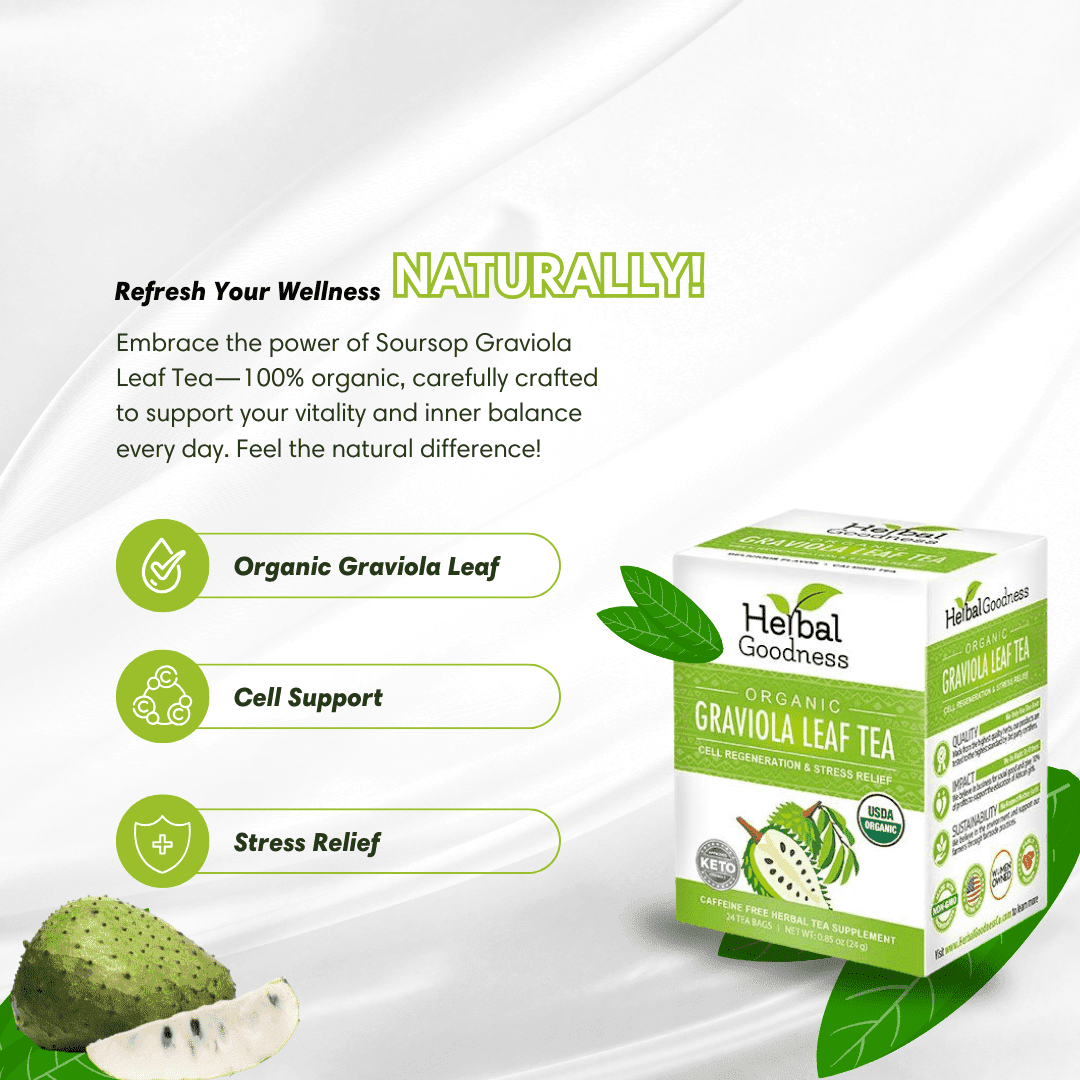 Soursop Leaf Tea Graviola Leaves - Organic 24/2g Tea Bags - Immunity & Cell Renew Tea & Infusions Herbal Goodness 