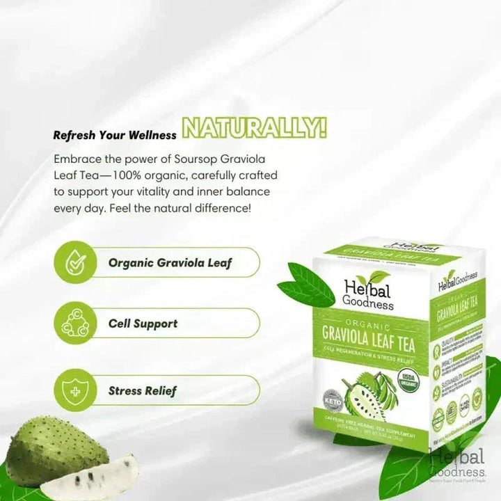 Soursop Leaf Tea Graviola Leaves - Organic 24/2g Tea Bags - Immunity & Cell Renew Tea & Infusions Herbal Goodness 