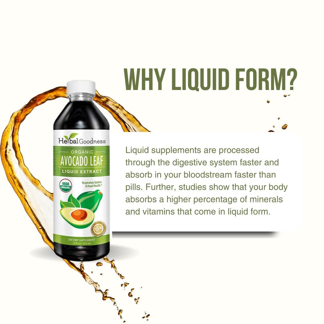 Avocado Leaf Extract - Organic - Liquid 12oz - Bone health & Immune support - Herbal Goodness Liquid Extract Herbal Goodness 