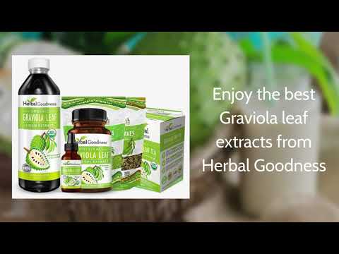 Graviola (Soursop) Leaf Extract - Capsules 60/700mg - Healthy Cell Function, Immunity & Relaxation - Herbal Goodness