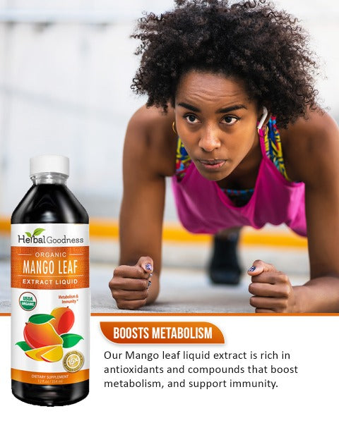 Mango Leaf Liquid - Organic 12 oz - Metabolism, Gut & Immunity - Herbal Goodness Liquid Extract Herbal Goodness 